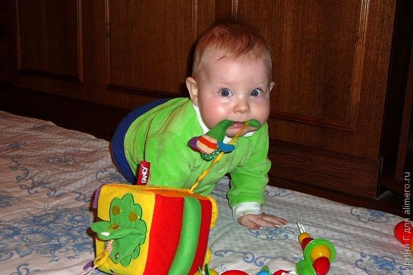 Ребенок просит взрослую еду. Что делать?