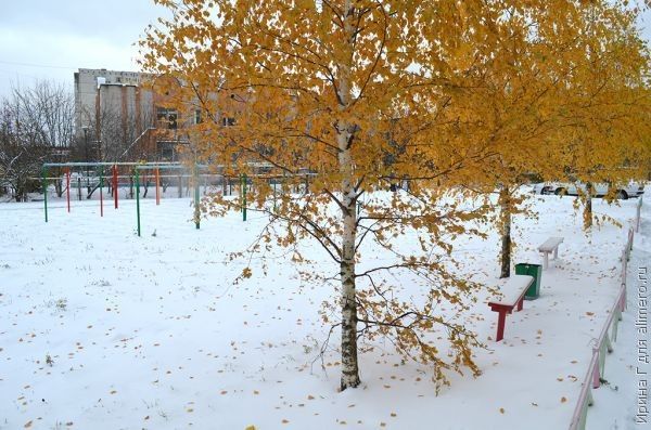 Похолодало. Гулять или не гулять?