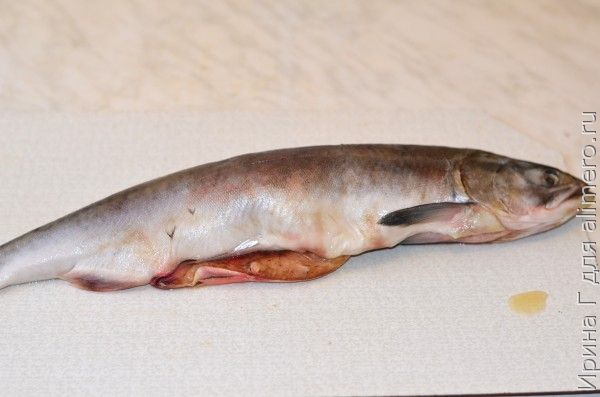 Рецепты с горькими огурцами