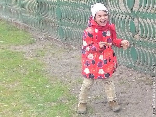вовсе 24 зуба вовсе 24 зуба
