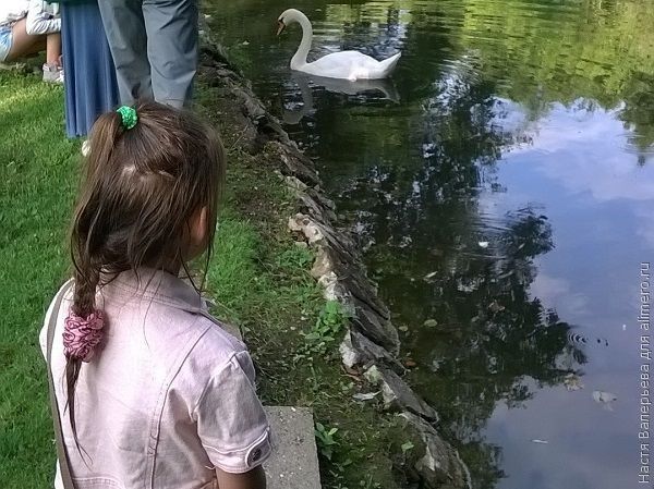 ребенку скучено не бывает ребенку скучено не бывает