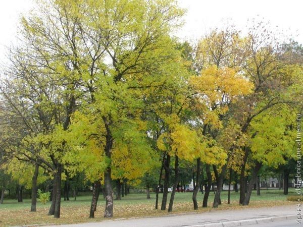 Как наполнить свои осенние будни творчеством?