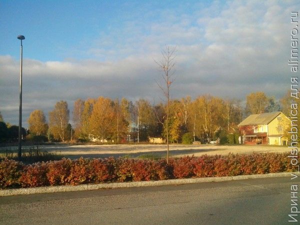 Как я научилась ценить своих родителей