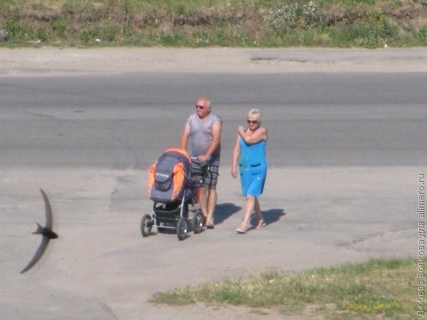 Непростые отношения с бабушкой...