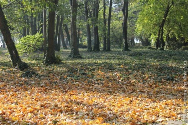Как меня вдохновляет осень