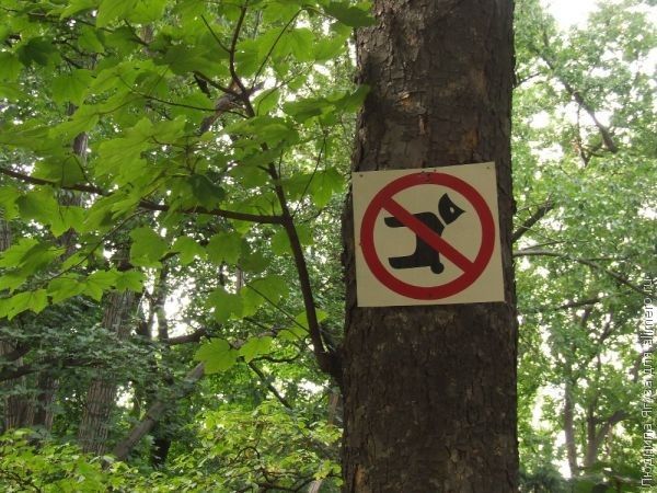 Как я учусь отстаивать свои интересы