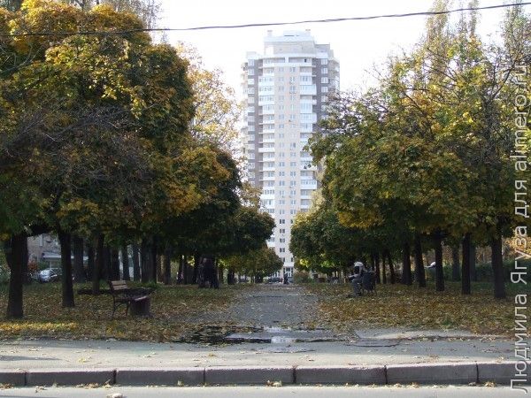 Настоящий смысл «Курочки Рябы»