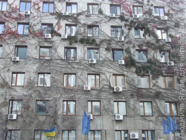 Купите окна и двери!
