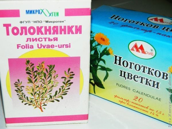 Травы для иммунитета
