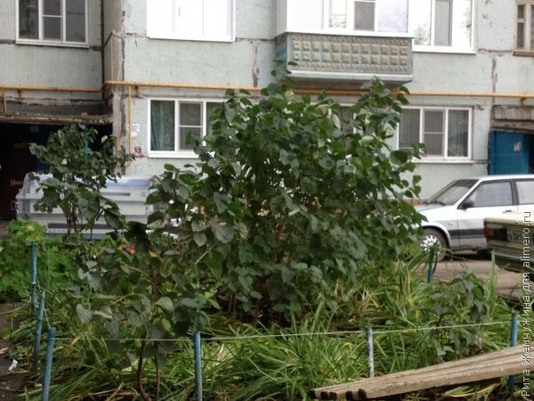 Муж против моей подруги. Что делать?