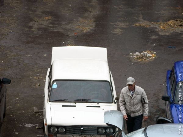 Времена меняются: машина — необходимость, а дети — роскошь?..