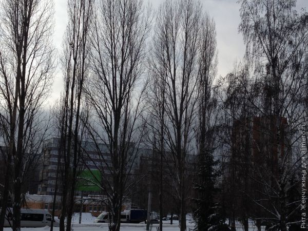 Мысли в дороге