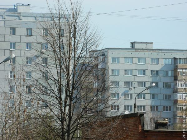 дом фото дом фото