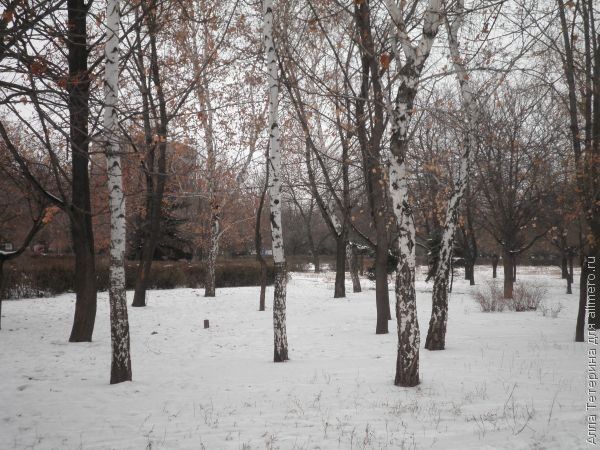 3 неприятных случая на прогулке