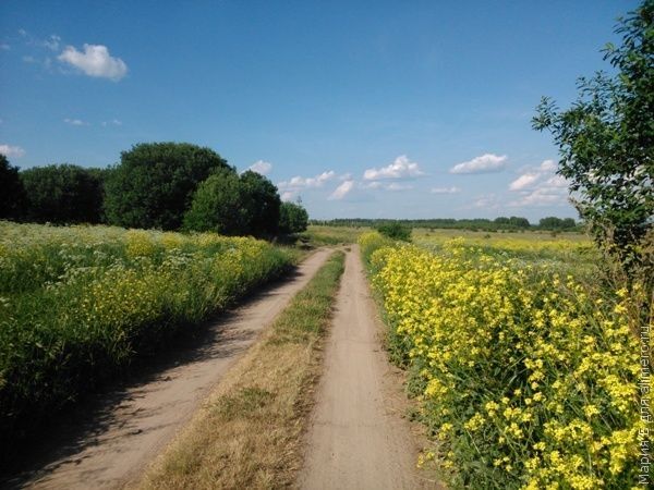 Как развлечь полуторагодовалого ребенка в дороге