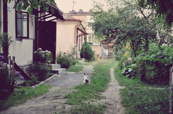 Как я испортила своего первого мужа