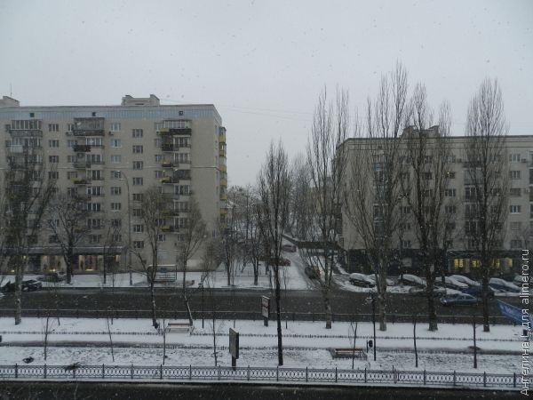 Почему я не люблю квартиры на первом этаже? Почему я не люблю квартиры на первом этаже?