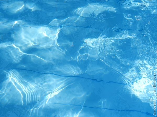 Водобоязнь — болезнь общества Водобоязнь — болезнь общества