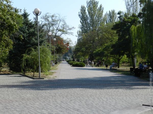 дорога дорога