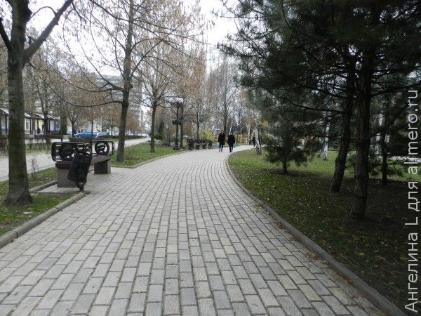дорога дорога