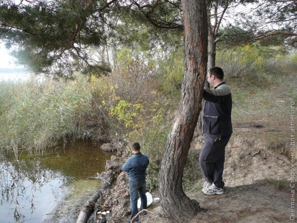 Свекровь разбаловала сына