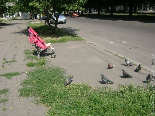 Ссоры при ребенке