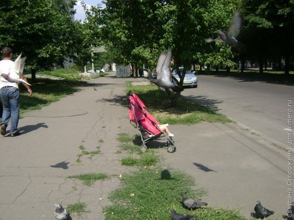 Партнерские роды. Мой опыт