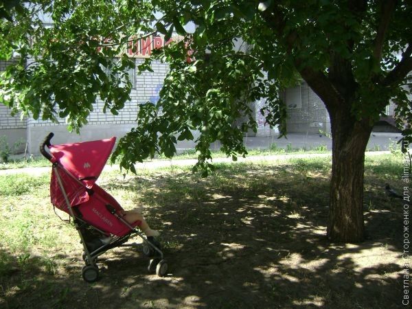 коляска детская фото коляска детская фото