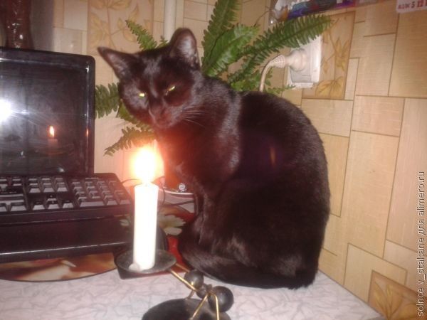 Рождественские гадания