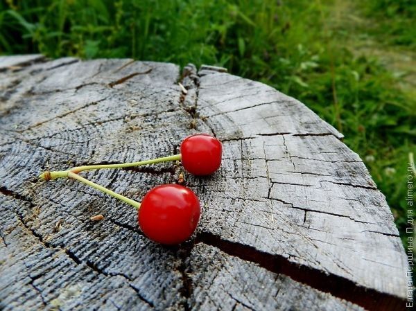 Похудение. Временно или навсегда?