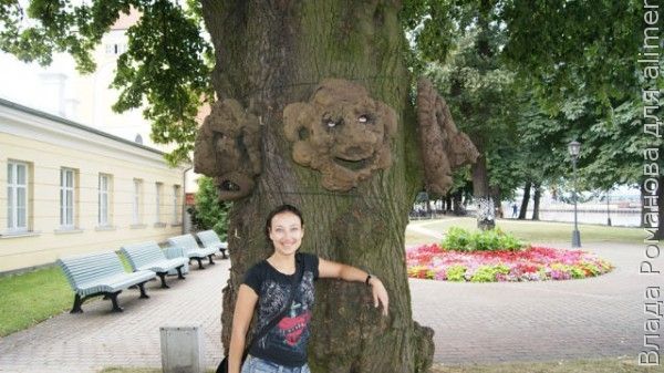 Девушка Девушка