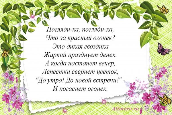 Стихи про цветы для детей Стихи про цветы для детей
