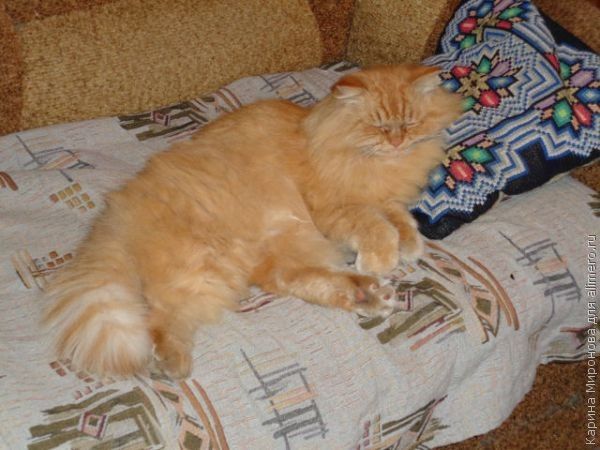 7 причин, которые мешают мне выспаться во время беременности