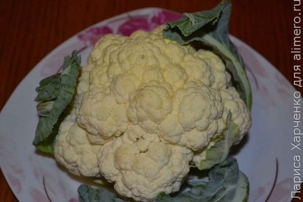 рецепты приготовления цветной капусты с фото в кляре с