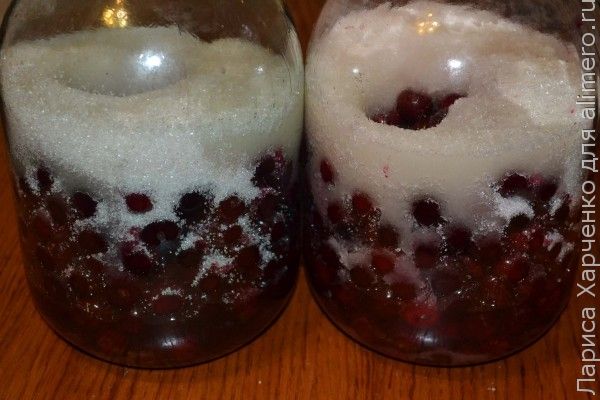 Вкусная выпечка из творога в мультиварке Вкусная выпечка из творога в мультиварке