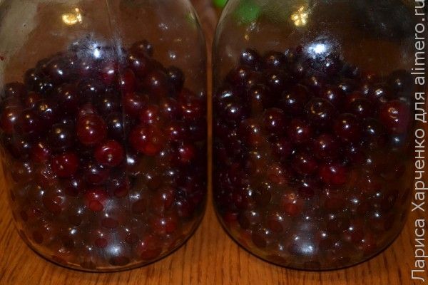 Наливка вишневая на водке водки в домашних условиях Наливка вишневая на водке водки в домашних