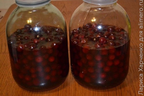 Домашняя настойка из вишни с водкой в домашних условиях Домашняя настойка из вишни с водкой в домашних условиях