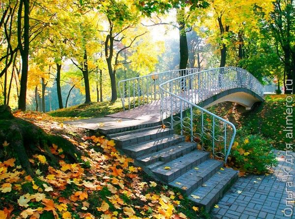 осень осень
