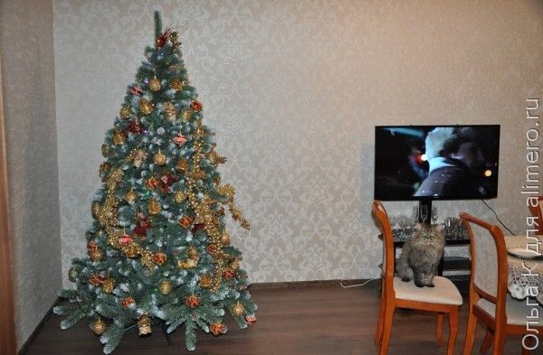 елка елка