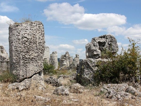 Каменный лес Болгария Каменный лес Болгария