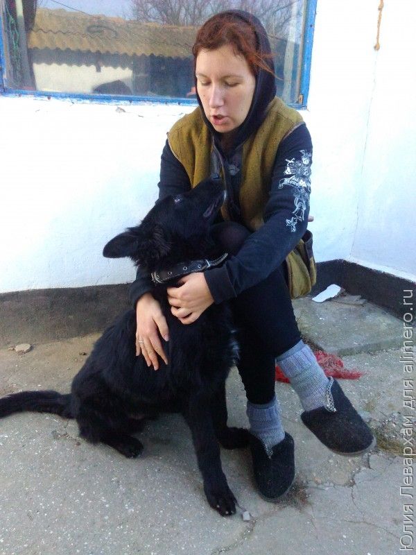 наша радость наша радость