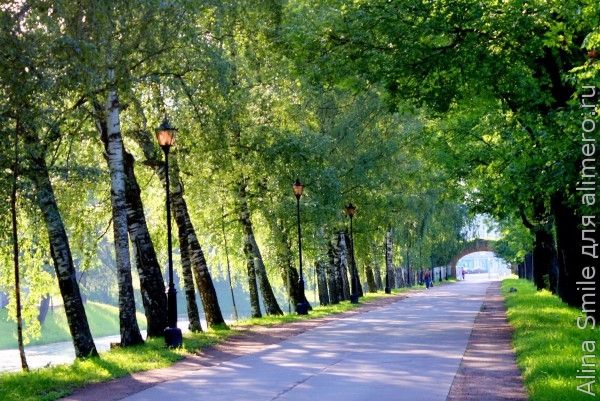 аллея аллея