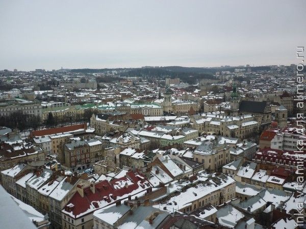 Любовь по интернету. Горький опыт знакомства