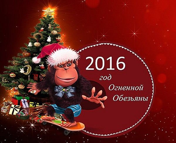 2016 2016