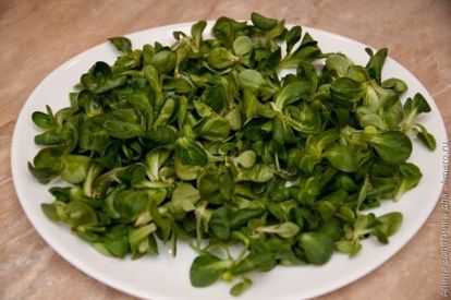 выкладываем салатные листья