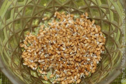 Полезный салат с пророщенной пшеницей и зеленью 