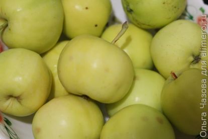 Варенье из яблок, вишни и сливы - проверенный рецепт