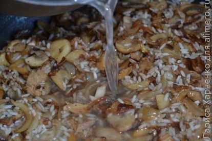 куриная грудка с рисом и шампиньонами на сковороде. %2Fuploads%2Fimages%2F00%2F65%2F50%2F2016%2F02%2F11%2Fe6431c wmark. куриная грудка с рисом и шампиньонами на сковороде фото. куриная грудка с рисом и шампиньонами на сковороде-%2Fuploads%2Fimages%2F00%2F65%2F50%2F2016%2F02%2F11%2Fe6431c wmark. картинка куриная грудка с рисом и шампиньонами на сковороде. картинка %2Fuploads%2Fimages%2F00%2F65%2F50%2F2016%2F02%2F11%2Fe6431c wmark. Время приготовления: 45 мин