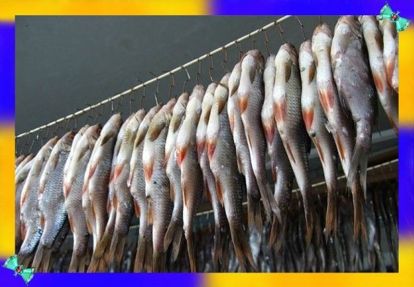 12. На крючок из скрепки можно не только ловить рыбу, но и потом на нем же ее сушить. По мере надобности, рыбу можно передвигать или снимать выборочно, по одной. 12. На крючок из скрепки можно не только ловить рыбу, но и потом на нем же ее сушить. По мере надобности, рыбу можно передвигать или снимать выборочно, по одной.