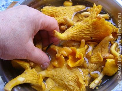 суп с лисичками, грибы в воде